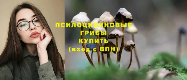 Альфа ПВП Дмитровск