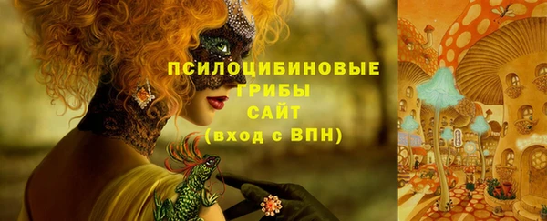 jwh Дмитров
