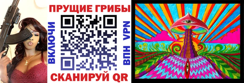 Галлюциногенные грибы Psilocybe  Купить  Калининец 